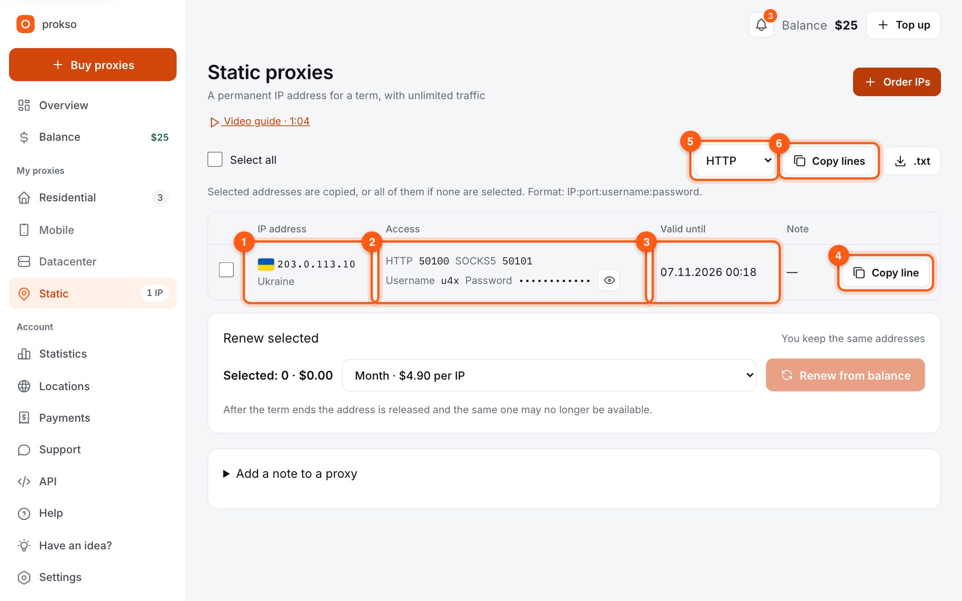 The “Static” section: address, ports, username and password, valid until
