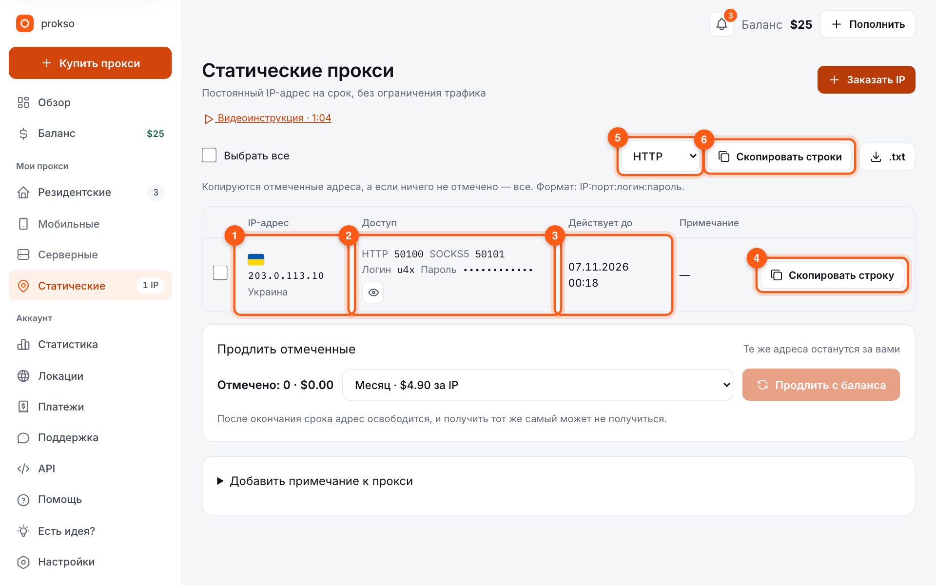 Раздел «Статические»: адрес, порты, логин и пароль, срок действия